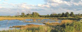 climate charrette